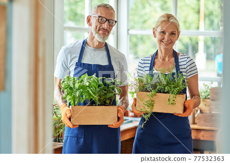 Middle aged caucasian partners holding pots with herbs Middle aged caucasian partners holding pots with herbs 77532363