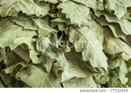Dry pale green oak leaves collected in a bath broom 77532839