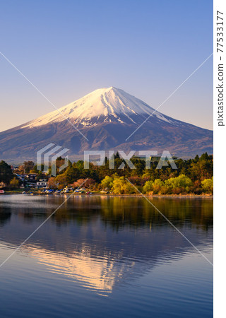 (山梨) 倒掛富士山的清晨和夢幻般的天空層次 77533177