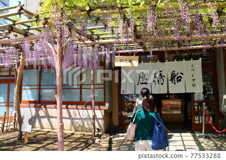Funabashiya Kuzumochi in Kameido, Koto-ku, Tokyo Fuji Festival 77533288
