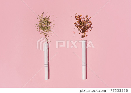 Hipster photo of two Cigarettes, one with tobacco, second with dry Cannabiz, against pink background, flat lay Hipster photo of two Cigarettes, one with tobacco, second with dry Cannabiz, against pink background, flat lay 77533356