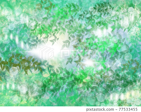 櫸樹陽光的背景 櫸樹陽光的背景 77533455
