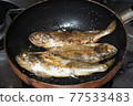 Grilled oyster fish 77533483