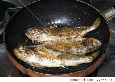 Grilled oyster fish 77533483