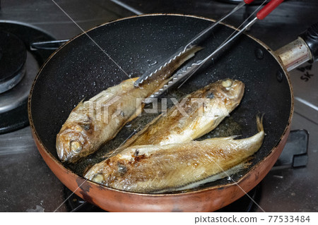 Grilled oyster fish 77533484