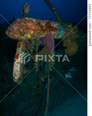 The screw of a sunken ship and the sea urchin that grows around it (Similan Islands, Kingdom of Thailand) 77533693