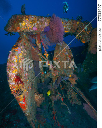 The screw of a sunken ship and the sea urchin that grows around it (Similan Islands, Kingdom of Thailand) The screw of a sunken ship and the sea urchin that grows around it (Similan Islands, Kingdom of Thailand) 77533697