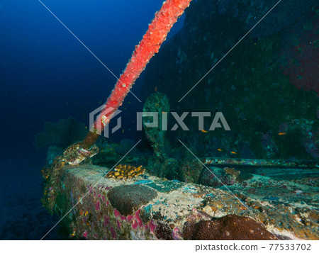 Around the screw part of the sunken ship and diving rope (Similan Islands, Kingdom of Thailand) 77533702