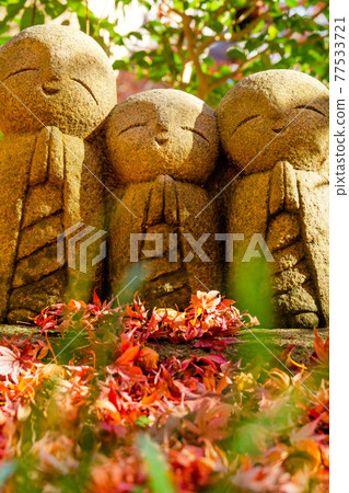Kamakura / Hasedera Ryoen Jizo 77533721
