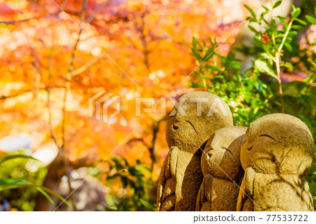 Kamakura / Hasedera Ryoen Jizo 77533722