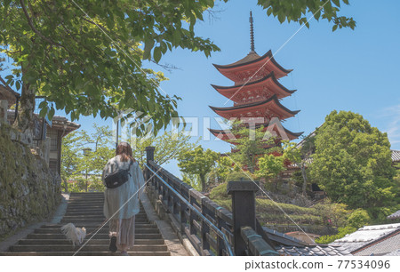 宮島的風景 77534096