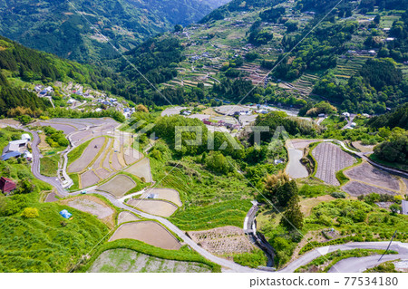 Yahata rice terraces in Otoyo-cho, Kochi Prefecture Yahata rice terraces in Otoyo-cho, Kochi Prefecture 77534180