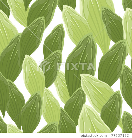 Botanic foliage seamless pattern with abstract green leaf ornament. Isolated backdrop with white background. 77537152