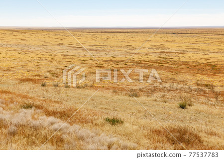 mongolische Steppe