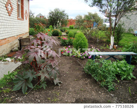 Garden beds and colorful flowers on them in summer Garden beds and colorful flowers on them in summer 77538026