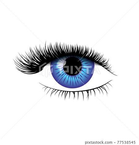 Detailed realistic blue eye with beautiful eyelashes on white Detailed realistic blue eye with beautiful eyelashes on white 77538545