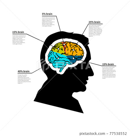 Man brain potential, bright detailed infographic with text place on white Man brain potential, bright detailed infographic with text place on white 77538552
