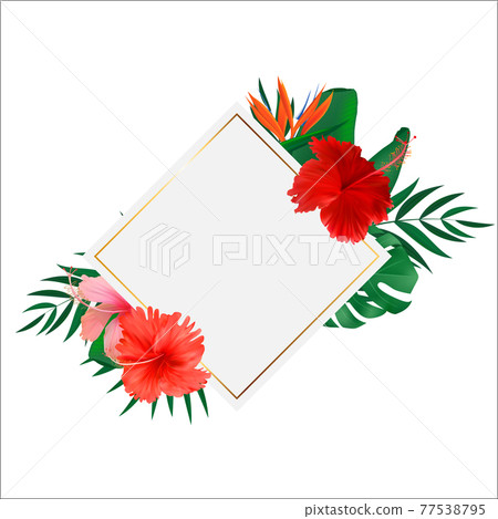 Abstract natural frame with Tropical Palm and Monstera Leaves, exotic flower isolated on white. Vector Illustration Abstract natural frame with Tropical Palm and Monstera Leaves, exotic flower isolated on white. Vector Illustration 77538795