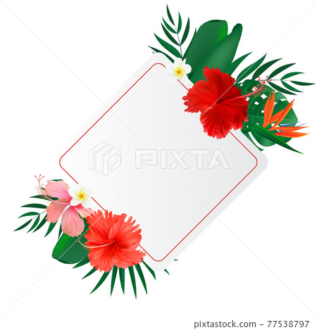 Abstract natural frame with Tropical Palm and Monstera Leaves, exotic flower isolated on white. Vector Illustration Abstract natural frame with Tropical Palm and Monstera Leaves, exotic flower isolated on white. Vector Illustration 77538797