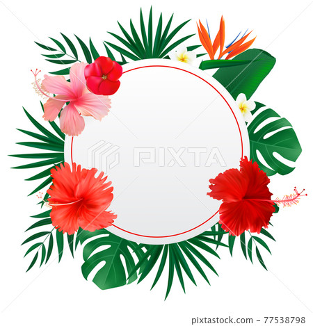Abstract natural frame with Tropical Palm and Monstera Leaves, exotic flower isolated on white. Vector Illustration Abstract natural frame with Tropical Palm and Monstera Leaves, exotic flower isolated on white. Vector Illustration 77538798