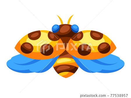 Illustration of colorful ladybug. Stylized decorative insect. 77538957