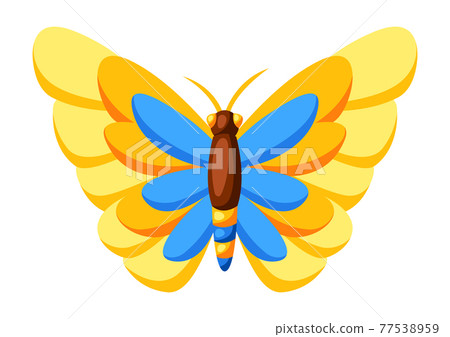 Illustration of colorful butterfly. Stylized decorative insect. Illustration of colorful butterfly. Stylized decorative insect. 77538959