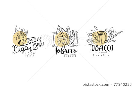 Tobacco Logo Design with Smoking Pipe and Plant Leaves in Hand Drawn Style Vector Set 77540233