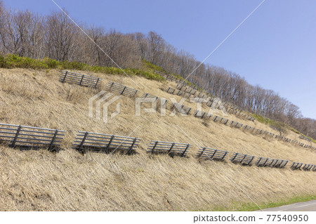 Road with avalanche prevention fence Road with avalanche prevention fence 77540950