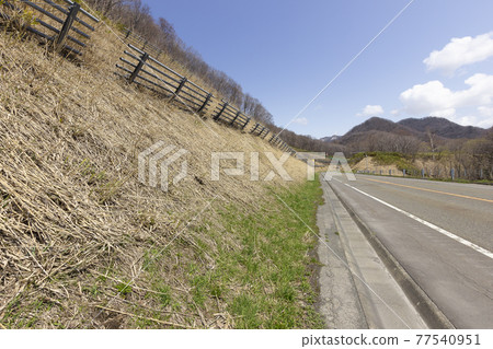 Road with avalanche prevention fence Road with avalanche prevention fence 77540951