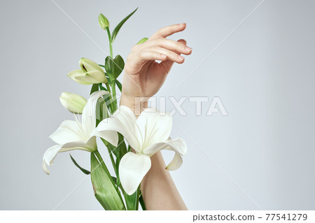 A bouquet of white flowers and female hands on a light background cropped view close-up 77541279
