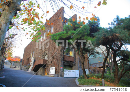 Seoul. City. Forest. Autumn 77541938