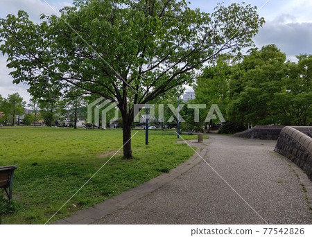 橫濱市青葉區奈良山公園 奈良一丁目 最近車站 兒童之國站 免費/全年無休 橫濱市青葉區奈良山公園 奈良一丁目 最近車站 兒童之國站 免費/全年無休 77542826