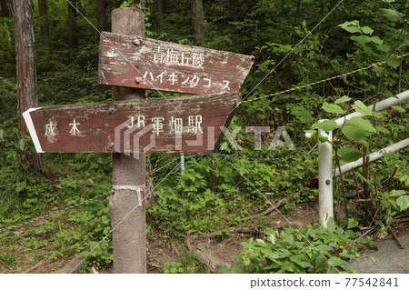 青梅山登山路線的信息標誌[東京都青梅市] 77542841