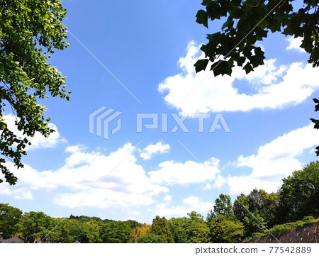 Narayama Park, Aoba-ku, Yokohama, Nara 1-chome Nearest station Kodomonokuni Station Free admission year-round bench toilet 77542889