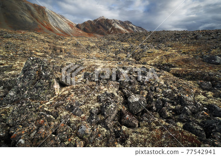 Harsh autumn arctic mountain landscape. 77542941