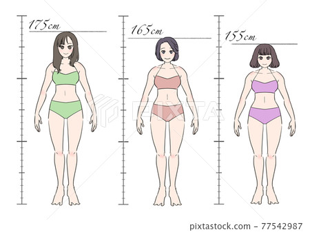 女性身高套裝 女性身高套裝 77542987