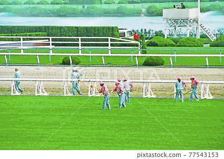 維護阪神賽馬場草坪的大守門員 77543153