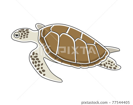 Illustration of a swimming sea turtle 77544405
