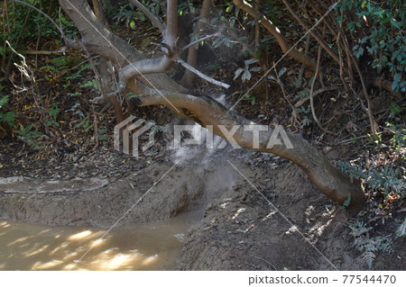 Yukemuri已經沸騰了-別府溫泉地獄之旅 77544470