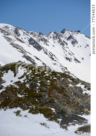 Oyama summit 77544633