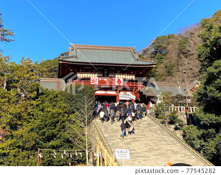 第一次訪問鶴岡八幡宮 77545282