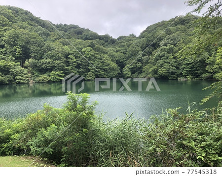 多雲天空下的湖畔 77545318