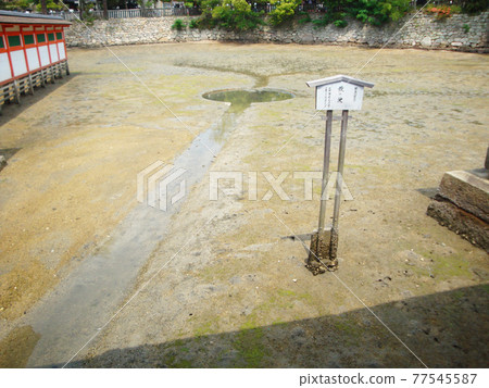 Mirror Pond at low tide at Itsukushima Shrine (Miyajimacho, Hatsukaichi City, Hiroshima Prefecture) 77545587