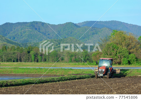 Scraping work with a tractor (rice field scraping) Agriculture Paddy rice farmer Scraping work with a tractor (rice field scraping) Agriculture Paddy rice farmer 77545806