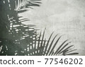 palm leaf shadow on the wall 77546202