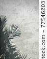 palm leaf shadow on the wall 77546203