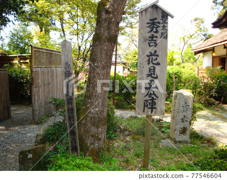 吉水神社賞櫻本部（奈良縣吉野郡吉野町吉野山） 77546604