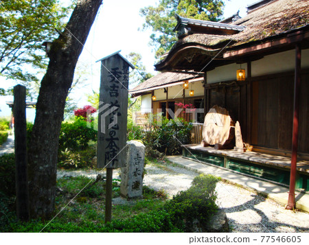 吉水神社賞櫻本部（奈良縣吉野郡吉野町吉野山） 77546605