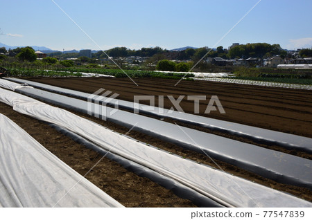 Hachioji Satoyama Kobiki Hills Hachioji Satoyama Kobiki Hills 77547839