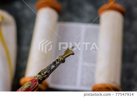 Jewish synagogue Judaic religion of Torah Scrolls with the pointer for reading the Torah 77547914